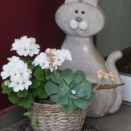 Konukevi Gaestehaus Spieker Horn-Bad Meinberg