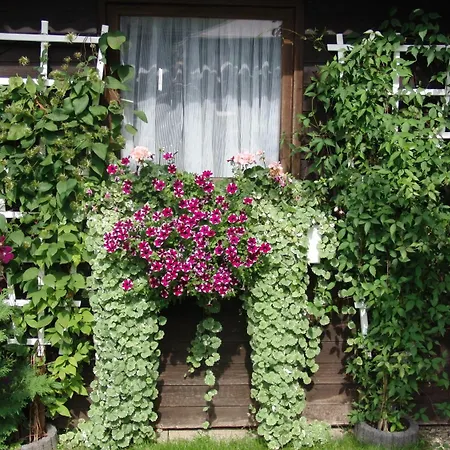 Konukevi Gaestehaus Spieker Horn-Bad Meinberg
