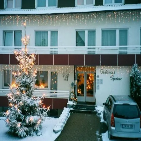Gastehaus Spieker 3*