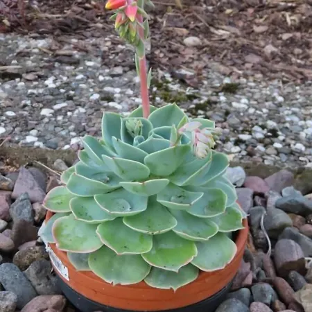 Konukevi Gaestehaus Spieker Horn-Bad Meinberg