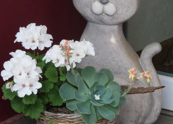 Guest house Gastehaus Spieker Horn-Bad Meinberg