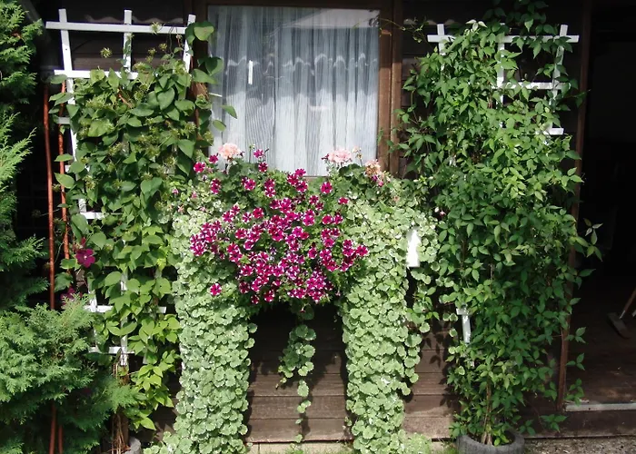 Gæstehus Gaestehaus Spieker Horn-Bad Meinberg