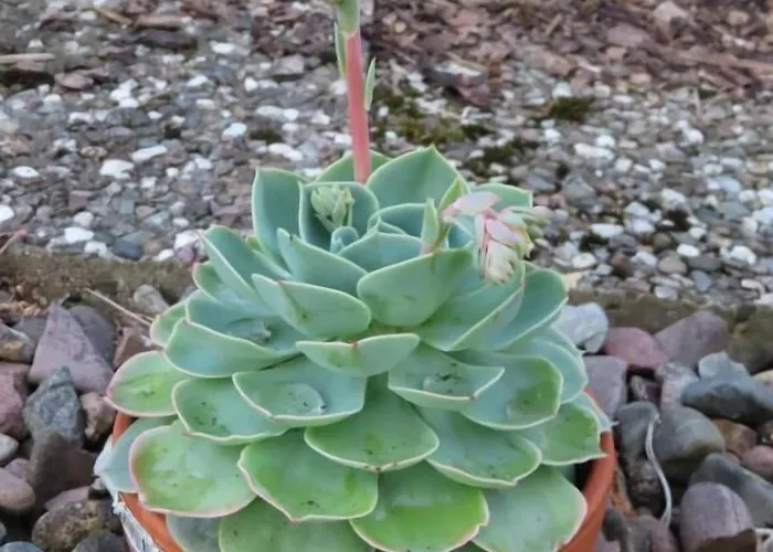 Guest house Gastehaus Spieker Horn-Bad Meinberg